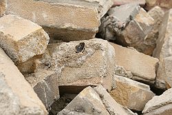 f2014_111_013_l