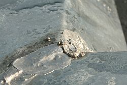 f2014_111_065_l