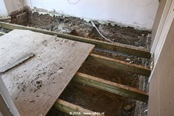 F2018_009_005 copy(1)